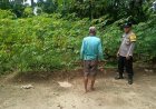 Aiptu Supriyanto selaku Bhabinkamtibmas Polsek Kebonsari Edukasi Pemanfaatan Pekarangan untuk Pangan Bergizi