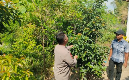Bhabinkamtibmas Desa Pacinan Ajak warga Manfaatkan Pekarangan untuk Dukung Ketahanan Pangan