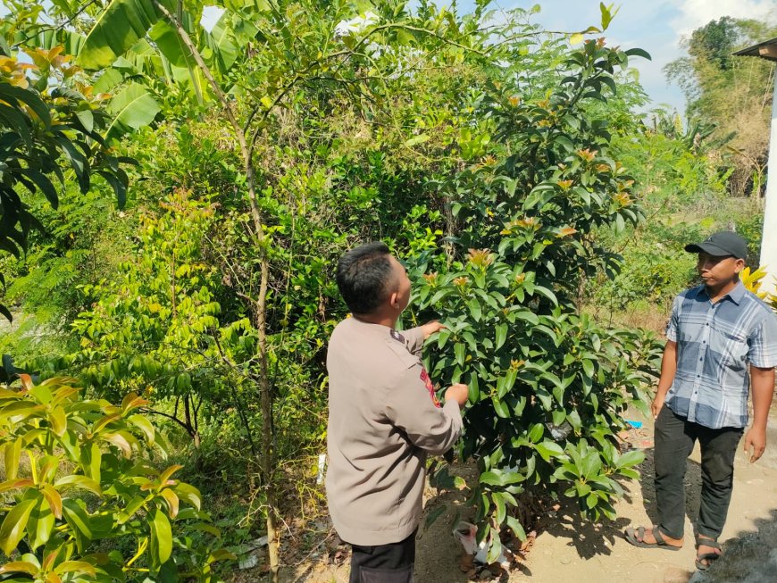 Bhabinkamtibmas Desa Pacinan Ajak warga Manfaatkan Pekarangan untuk Dukung Ketahanan Pangan