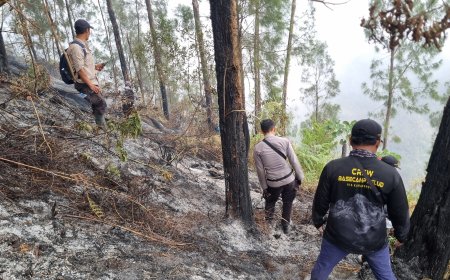 Tembus Ketinggian 1.800 MDPL, Tim Gabungan Polres Blitar Jinakkan Api di Gunung Buthak