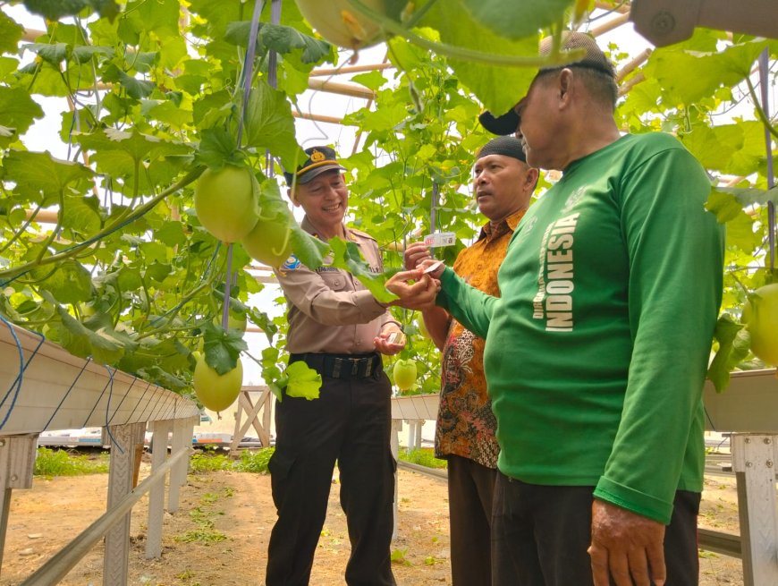 Perkuat Ketahanan Pangan, Kasat Binmas Polres Madiun Cek Green House BUMDes Desa Slambur